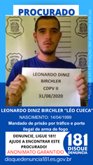 Logomarca - LEONARDO DINIZ BIRCHLER